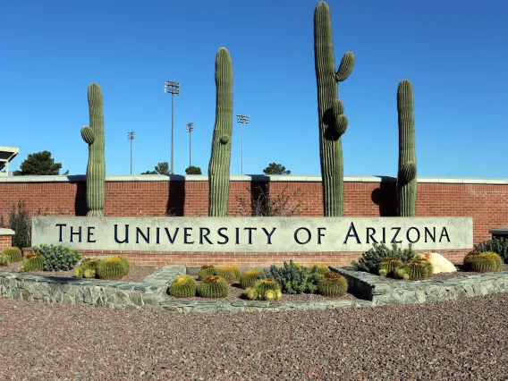 Saguaro cactus behind University of Arizona sign