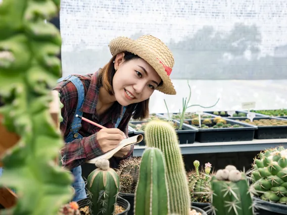 Person in a hat taking notes about cacti