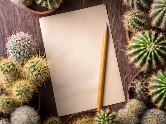 Blank paper surrounded by cactuses